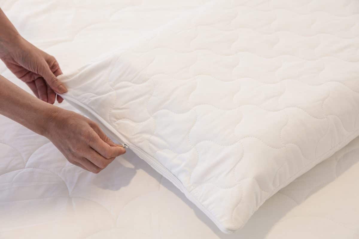 Bambi Ecorenew tencel pillow protector