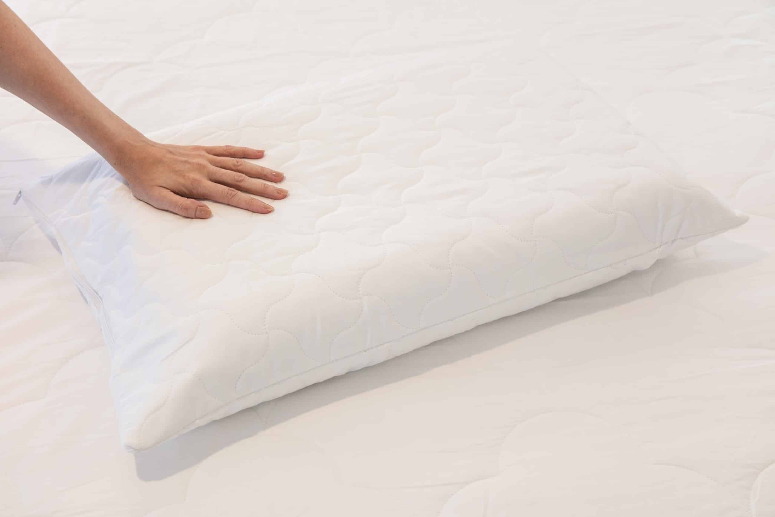 Bambi Ecorenew tencel pillow protector