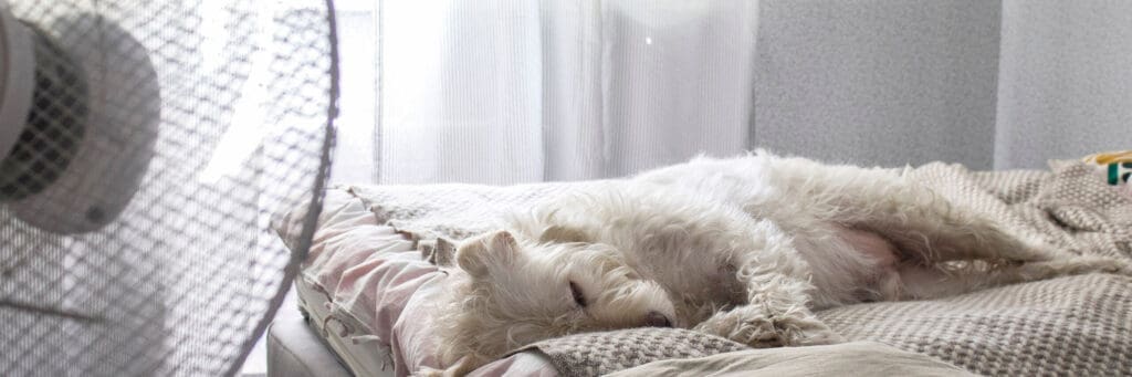 best mattress for hot sleepers blog