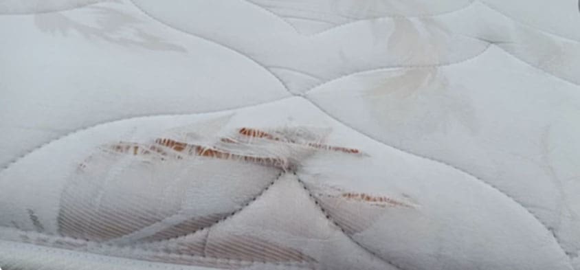 latex mattress replace mattress blog dirty mattress