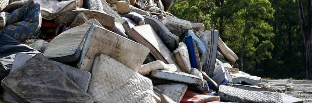 environment blog body banner2