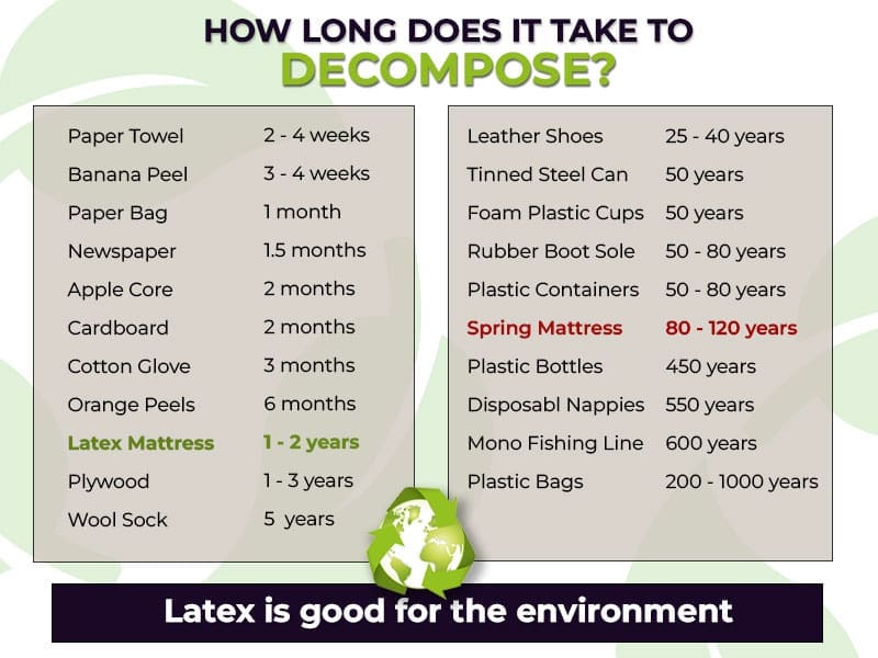 how long things take to decompose
