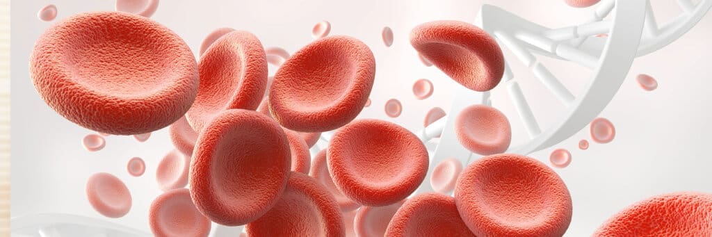 immune blog body banner2