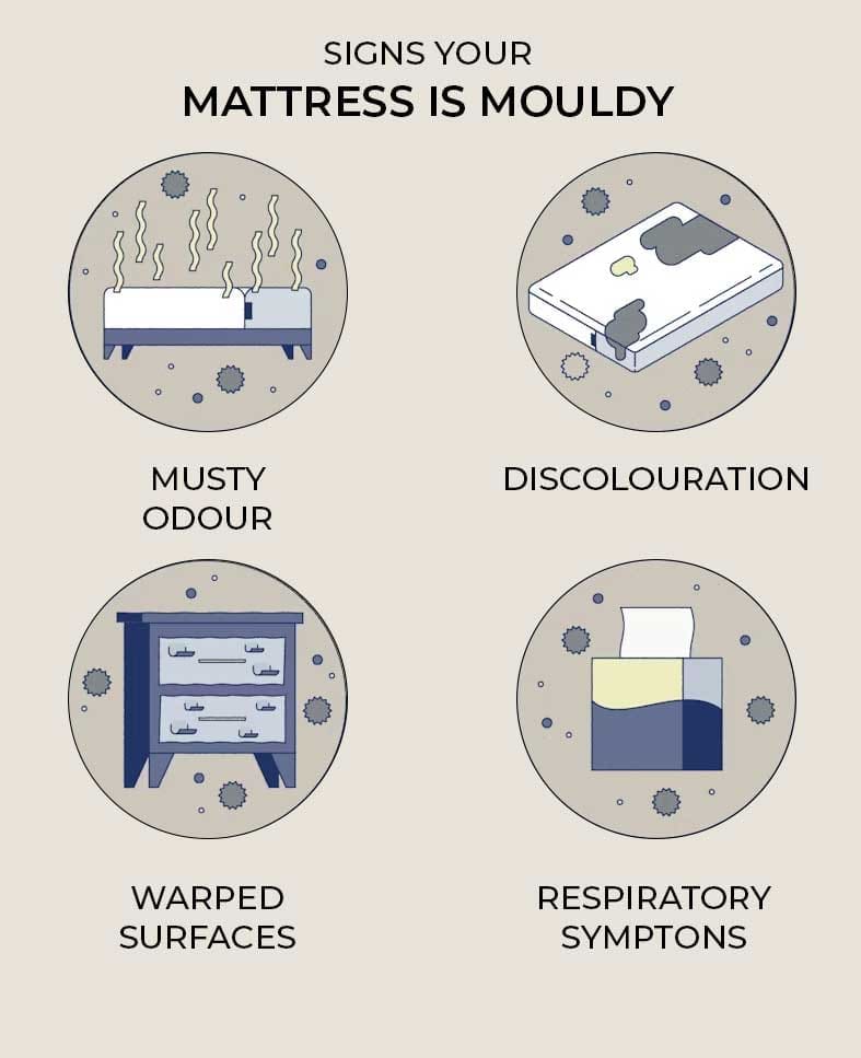 signs your mattress is mouldy